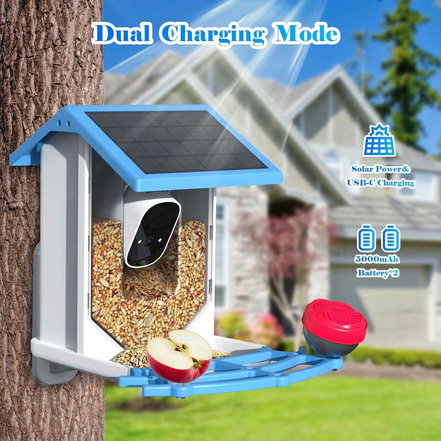 Smart Solar-Powered Bird Feeder With Camera