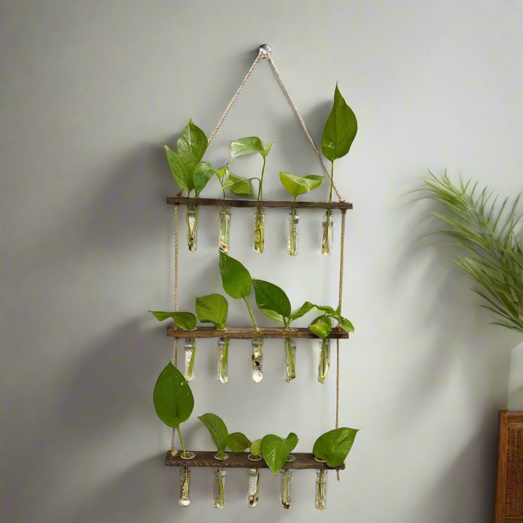 Hanging Gardens:  Propagation Station