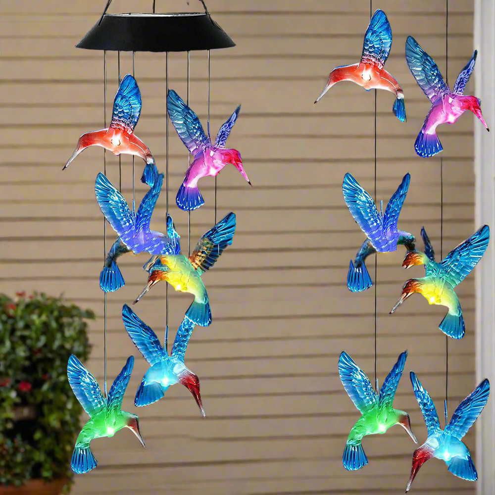 Hummingbird Designs: Solar Lights