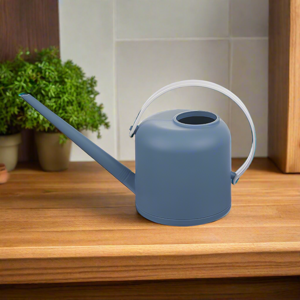 Brushed with Style: Large Watering Can