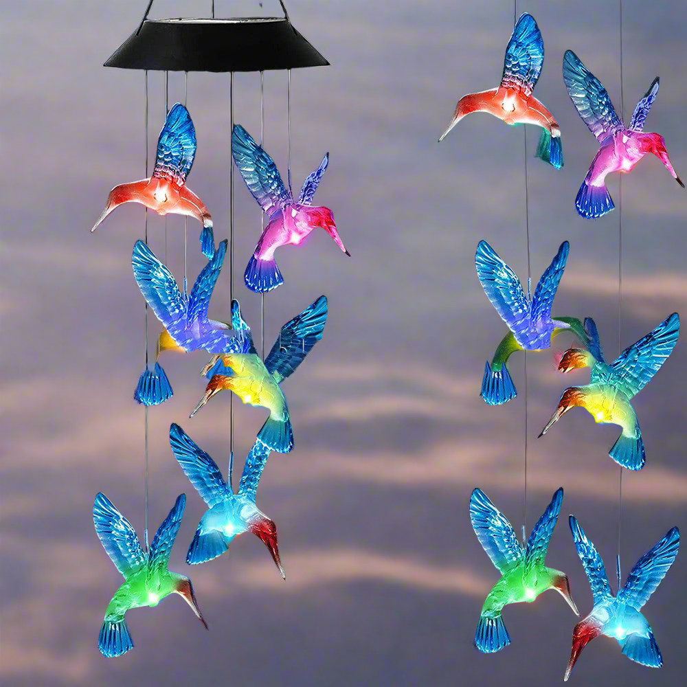 Hummingbird Designs: Solar Lights