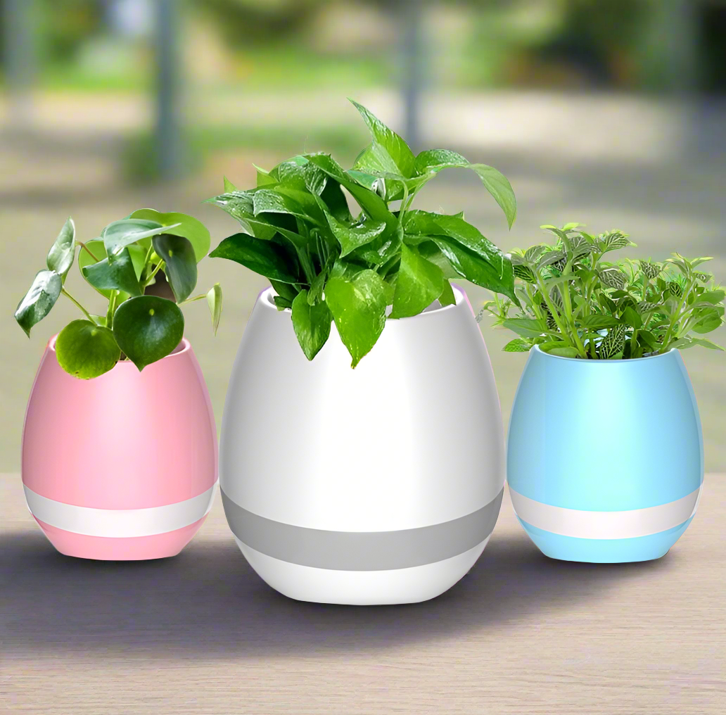 Bluetooth Speaker & Flowerpot Combo