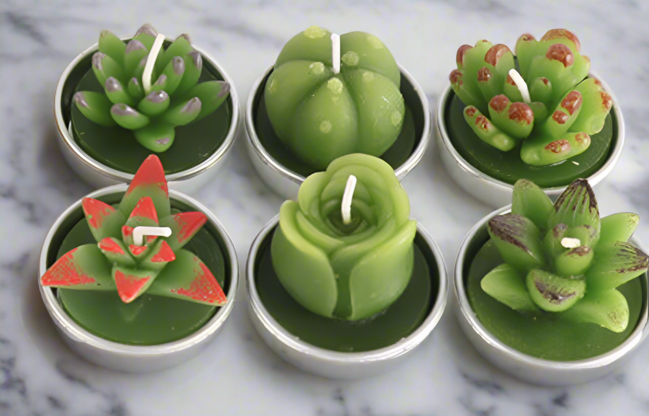 Succulent Cactus Candles