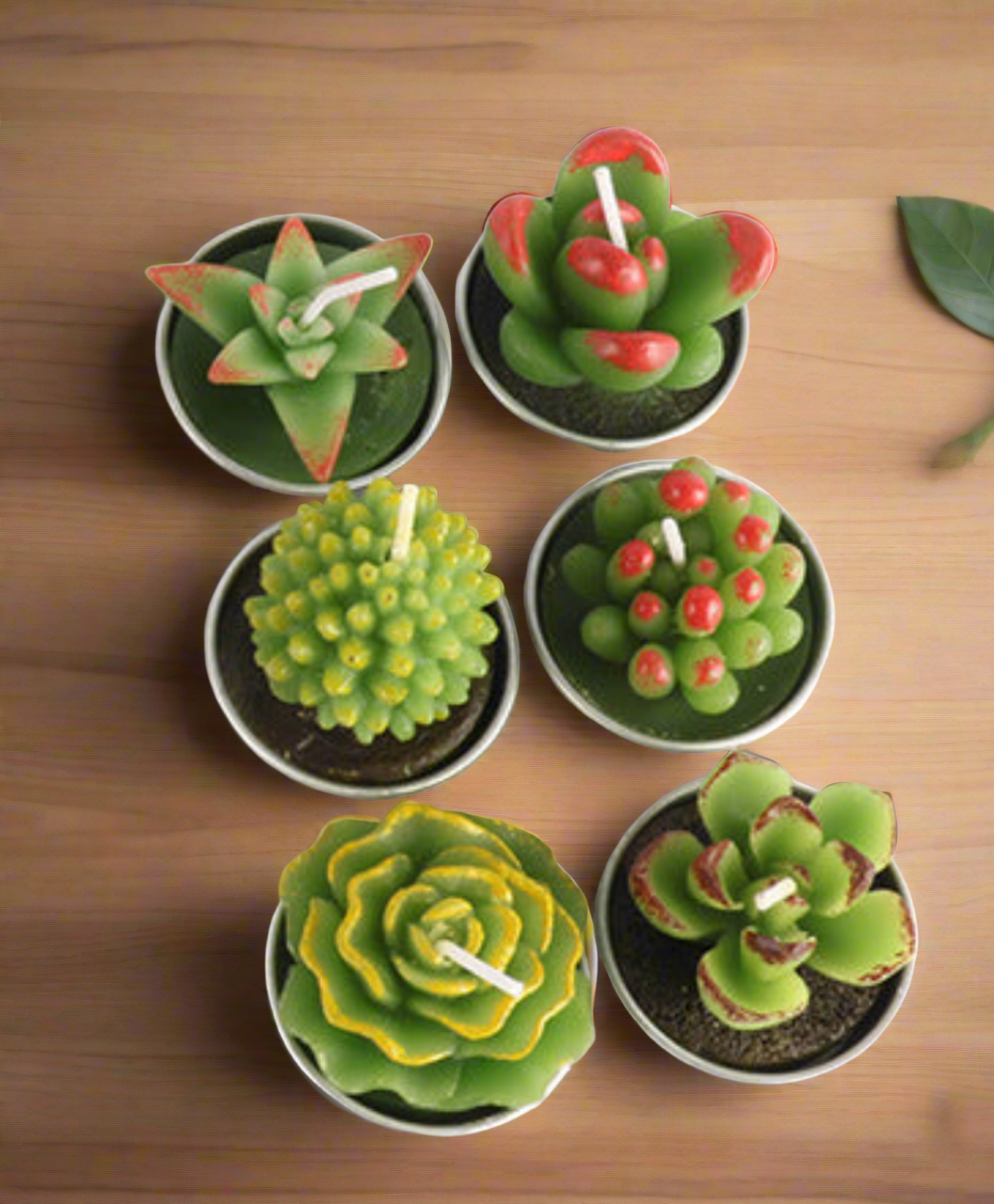 Succulent Cactus Candles