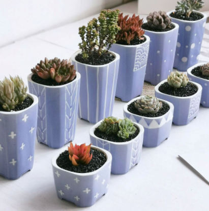 Zen Doodles Ceramic Succulent Flower Pot