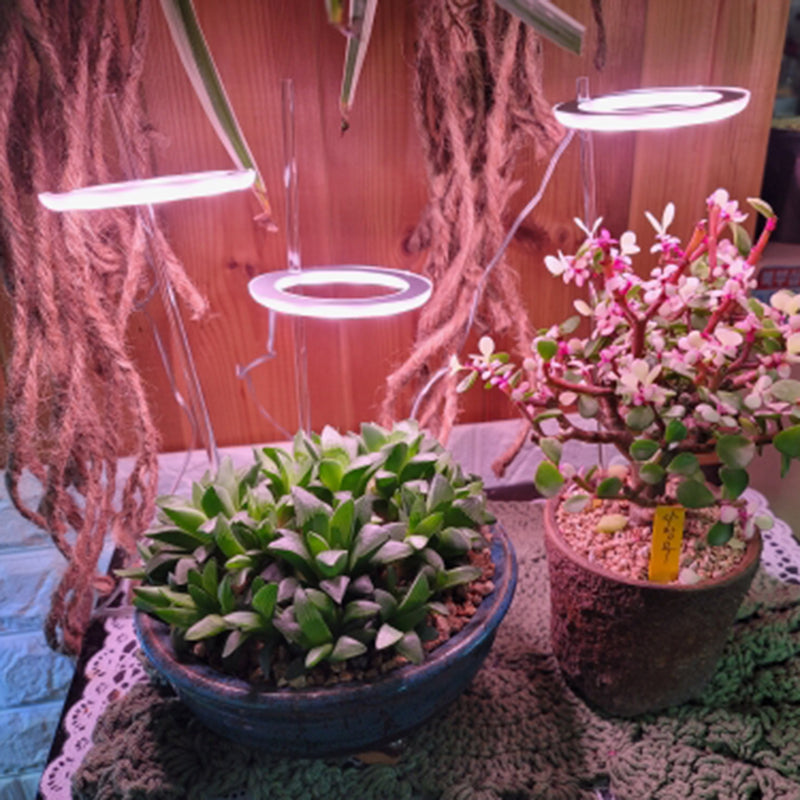 Angel Ring: Personal Grow Lights