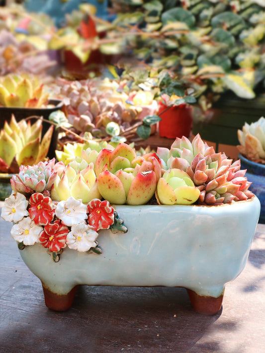 Strawberries and Springtime: Stoneware Succulent Plant Pot