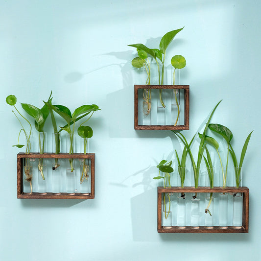 Nature Framed: Simple Propagation Vases