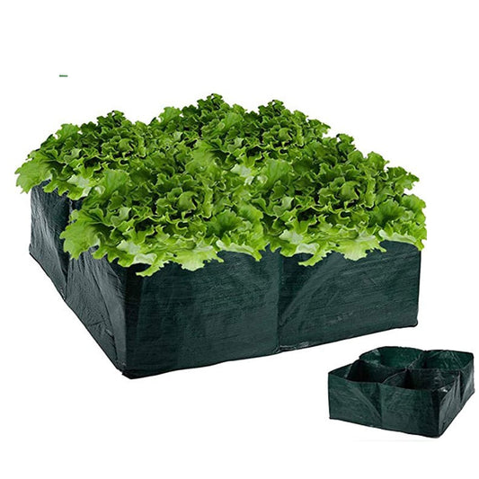 Instant Garden: Multi Section Grid Container