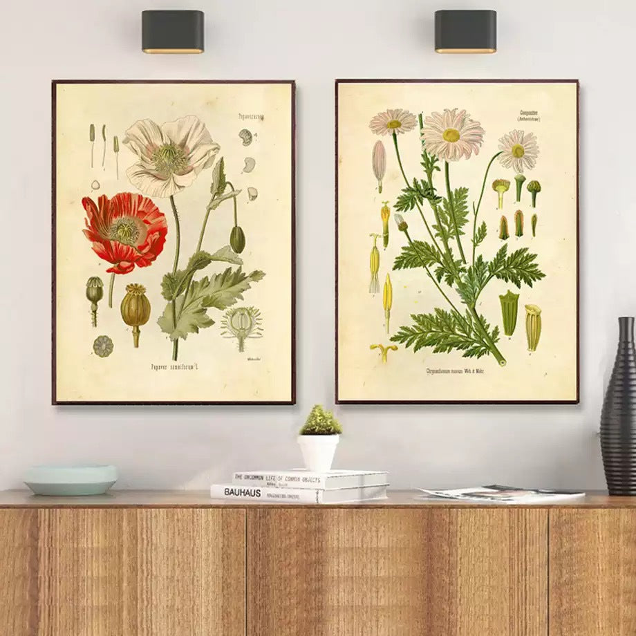 Nature's Bounty Art Collection