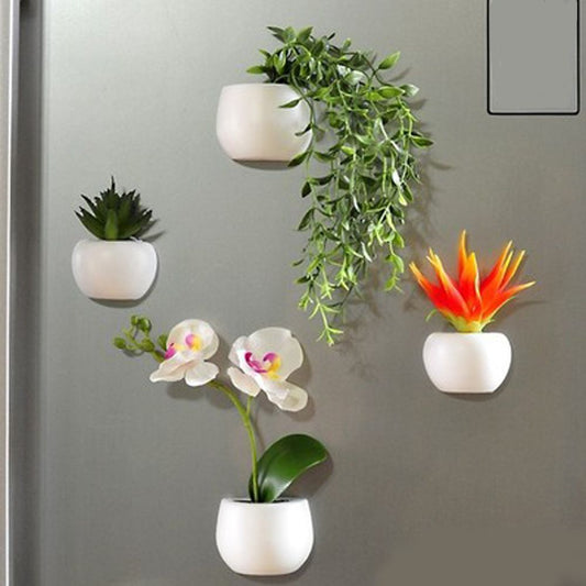 Succulent Plant Magnets