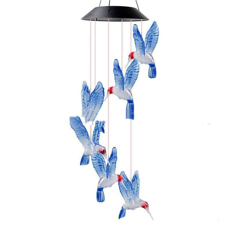 Hummingbird Designs: Solar Lights